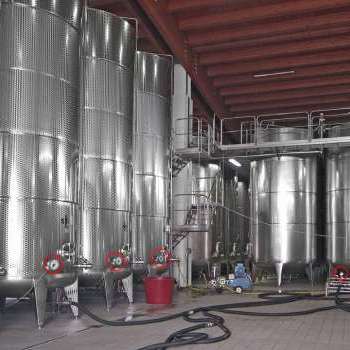 Manometro professionale su serbatoi vino